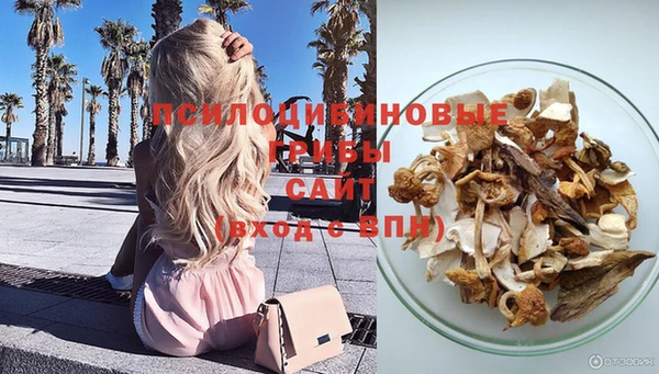 спайс Нефтекумск